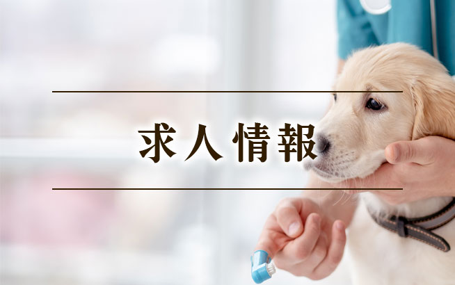 求人案内